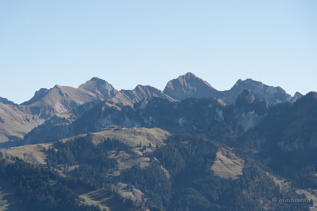 20081026_113